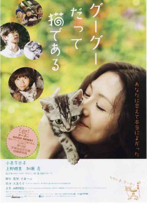 [夸克网盘]日本电影《咕咕是一只猫》（2008）剧情 豆瓣7.4