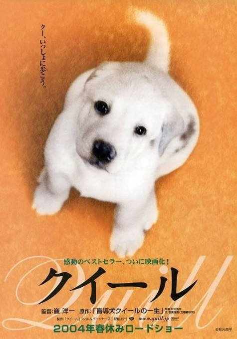《导盲犬小Q》2004日本电影剧情电影宣传海报